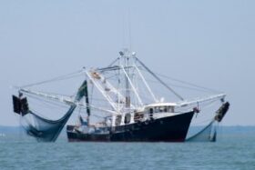 BateauPeche-300x190-1